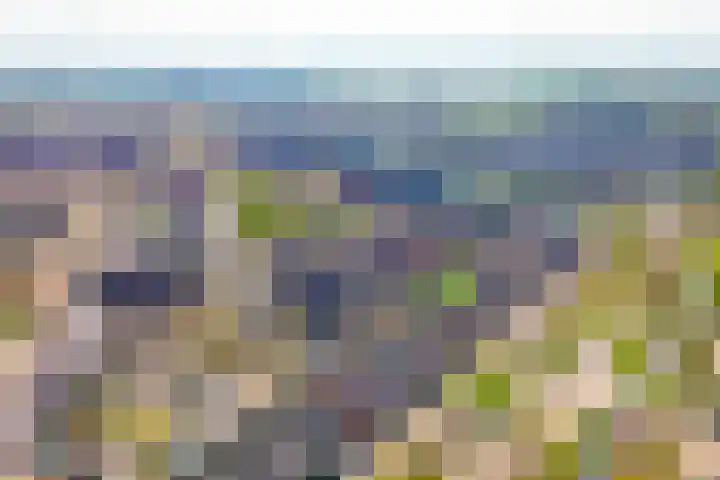 Dina Appeldoornpad 2 Gorinchem thumbnail 36