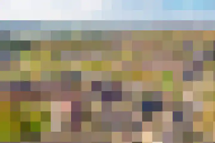 Dina Appeldoornpad 2 Gorinchem thumbnail 37