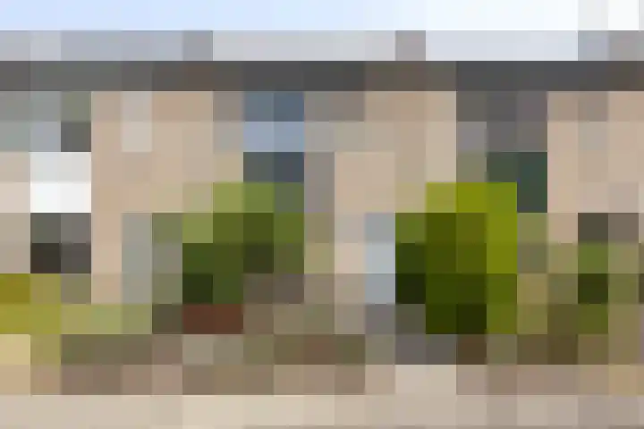 Dinant Dijkhuisstraat 101 Hengelo thumbnail 6