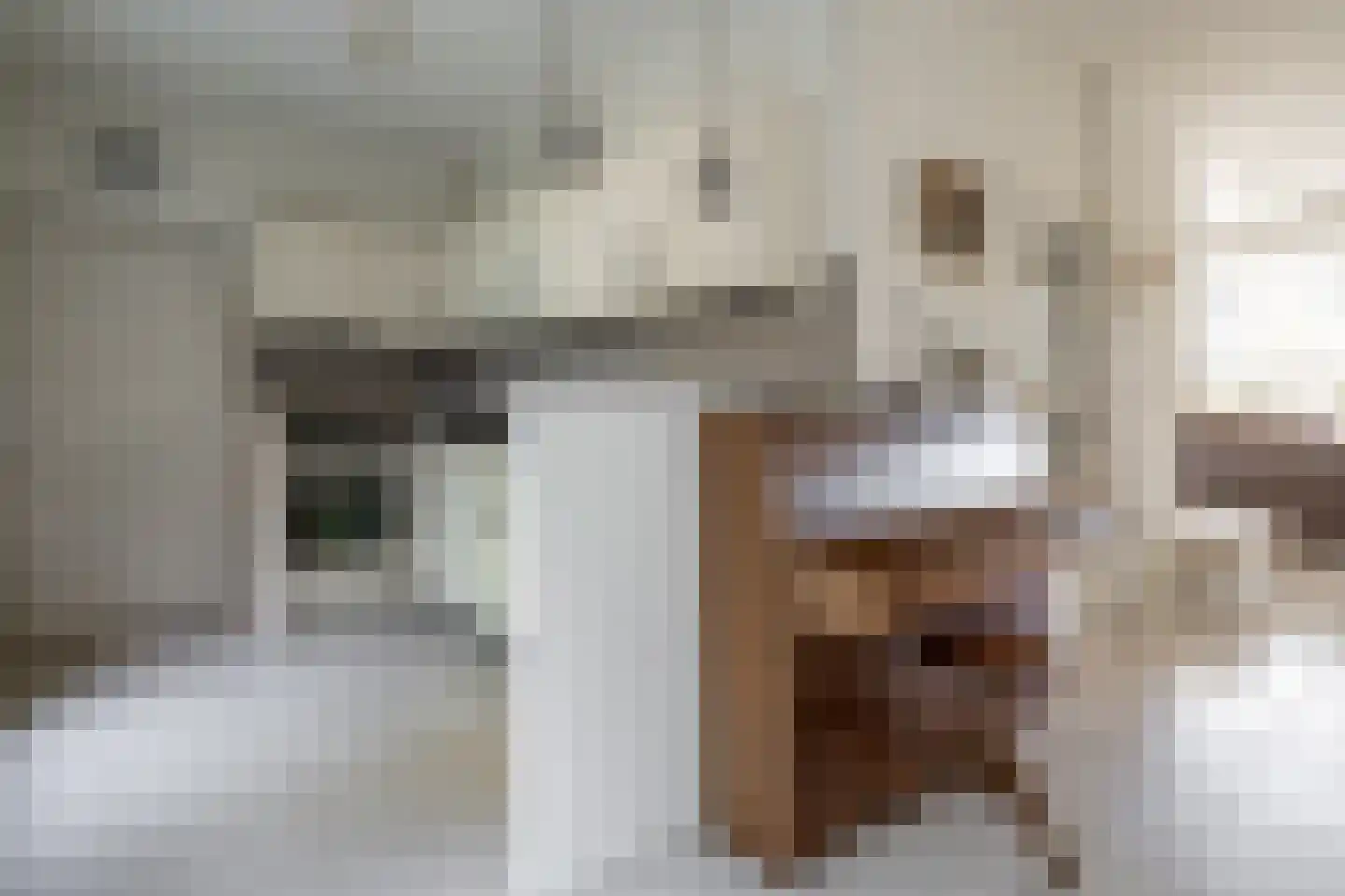Dinant Dijkhuisstraat 120 Hengelo thumbnail 17