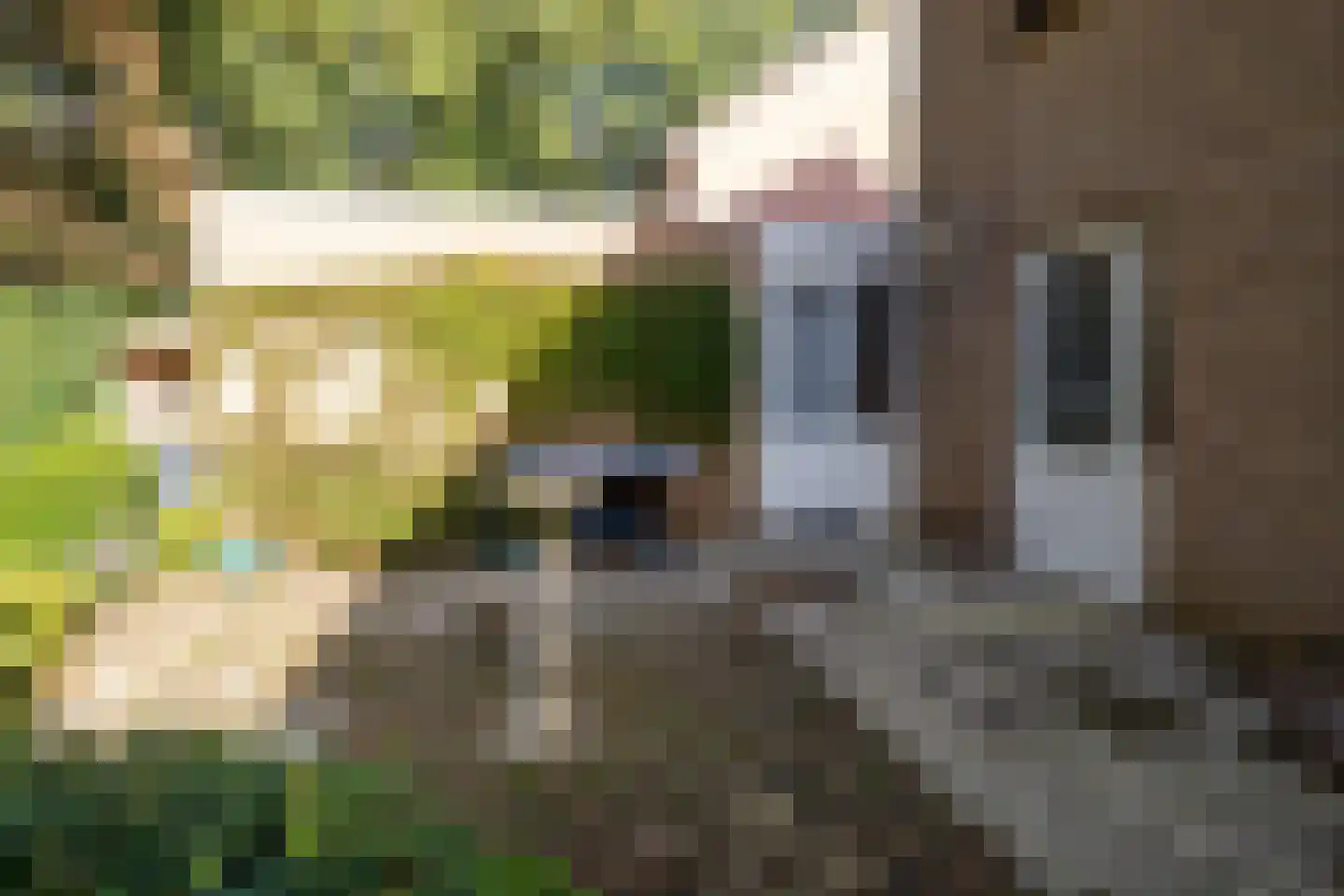 Dinant Dijkhuisstraat 120 Hengelo thumbnail 36