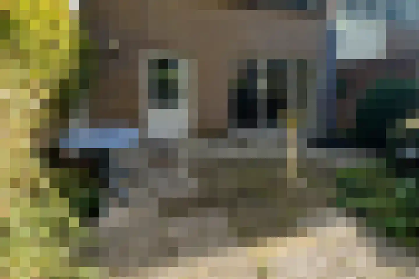 Dinant Dijkhuisstraat 120 Hengelo thumbnail 37