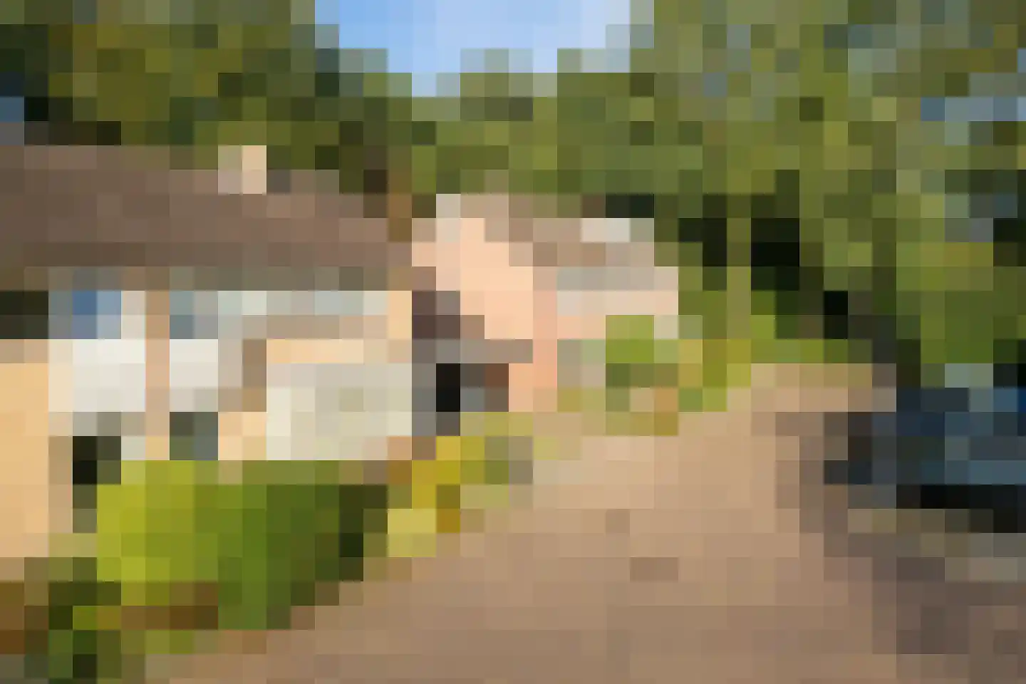 Dinant Dijkhuisstraat 120 Hengelo thumbnail 45