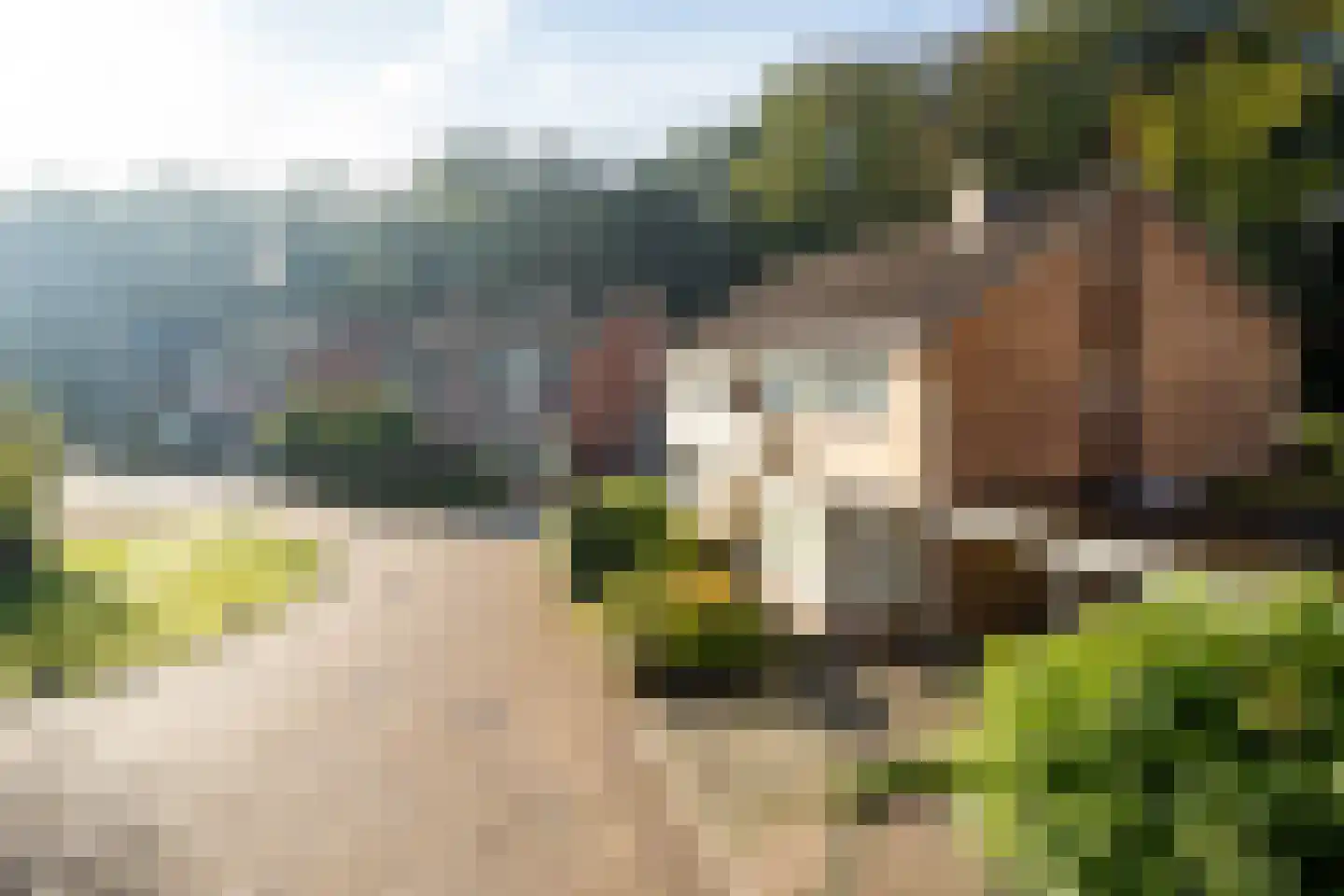 Dinant Dijkhuisstraat 120 Hengelo thumbnail 46