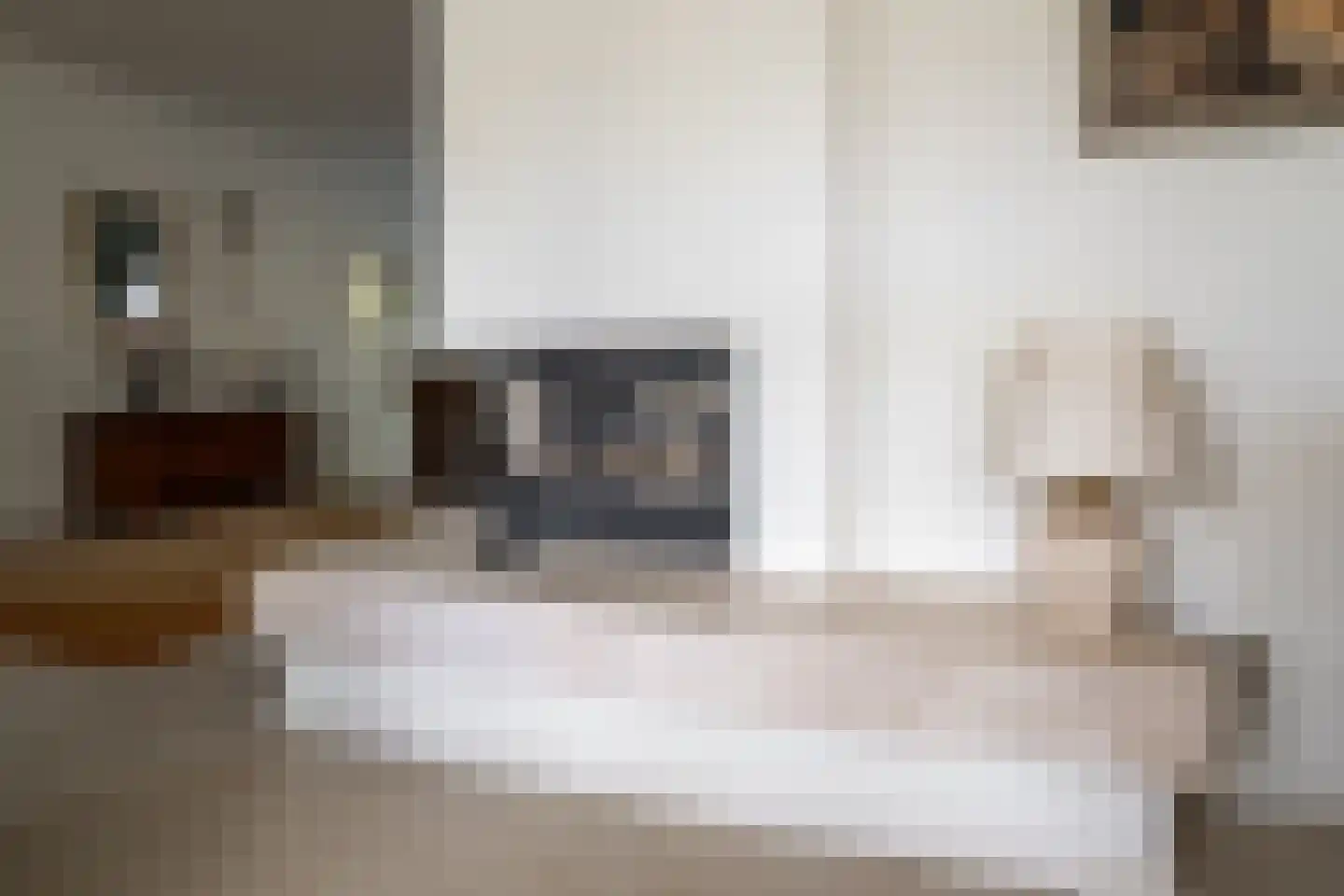 Dinant Dijkhuisstraat 120 Hengelo thumbnail 9