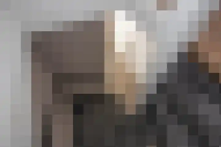 Dinant Dijkhuisstraat 15 Hengelo thumbnail 12