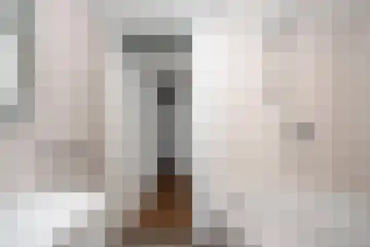 Dinant Dijkhuisstraat 15 Hengelo thumbnail 15