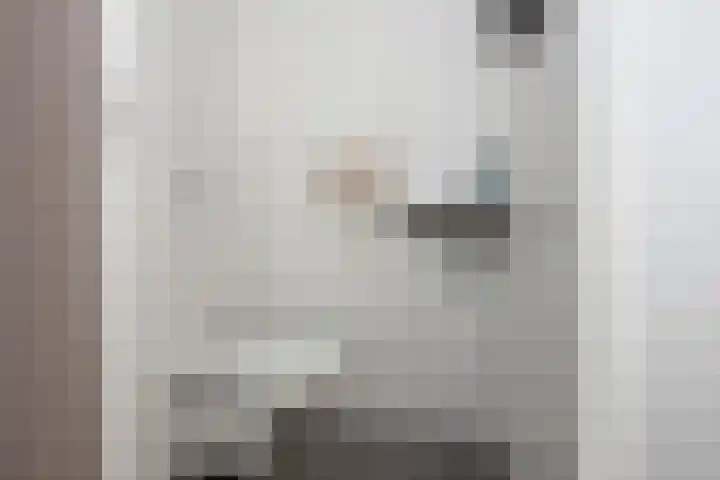 Dinant Dijkhuisstraat 15 Hengelo thumbnail 8