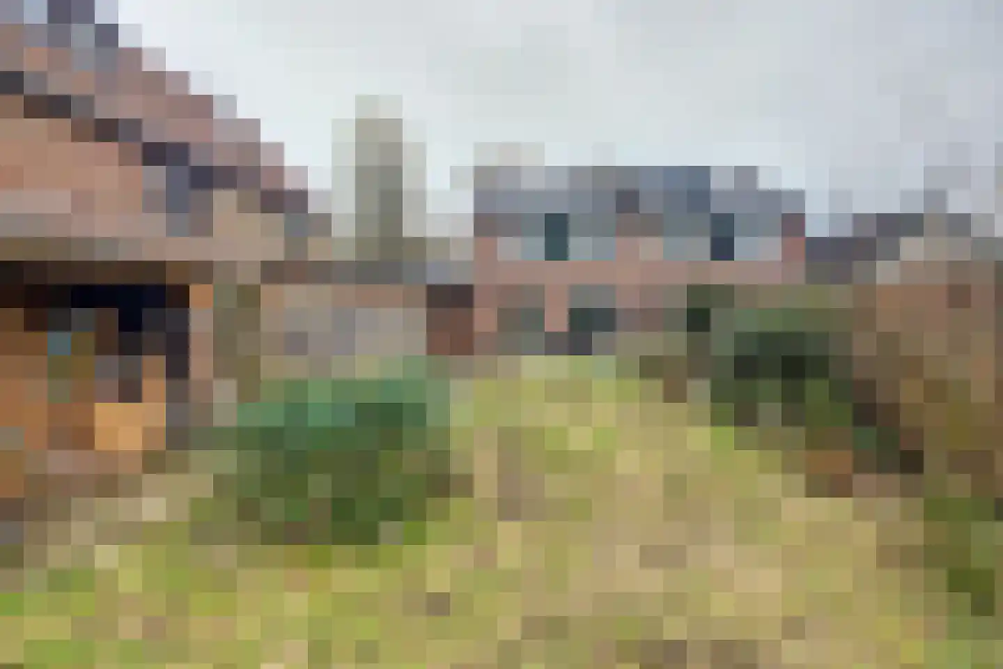Dinant Dijkhuisstraat 198 Hengelo thumbnail 39