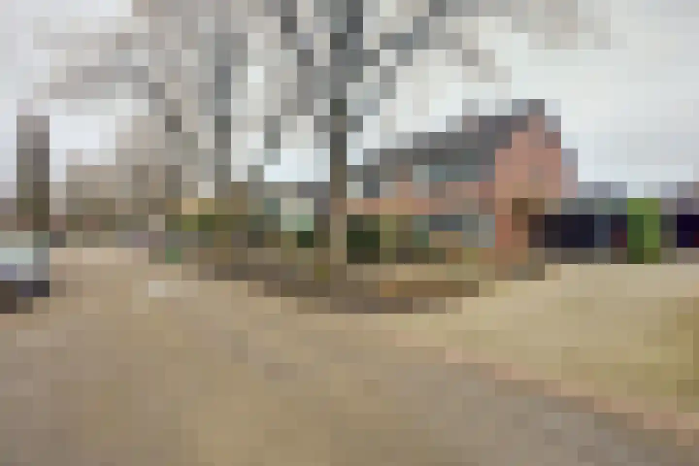 Dinant Dijkhuisstraat 198 Hengelo thumbnail 4