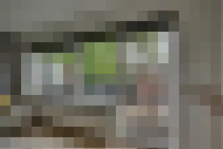 Dinant Dijkhuisstraat 32 Hengelo thumbnail 17