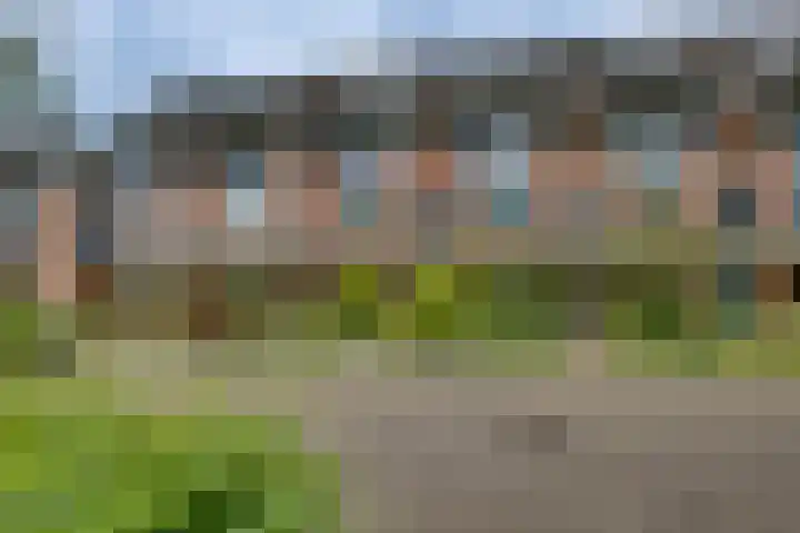 Dinant Dijkhuisstraat 32 Hengelo thumbnail 5