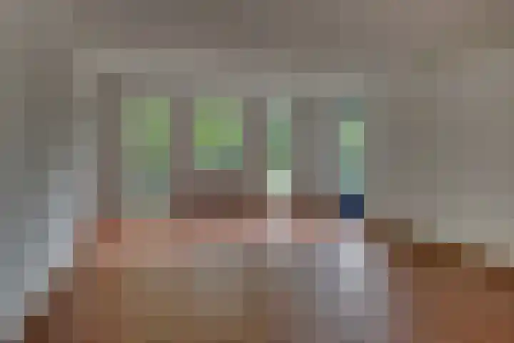Dinant Dijkhuisstraat 32 Hengelo thumbnail 8