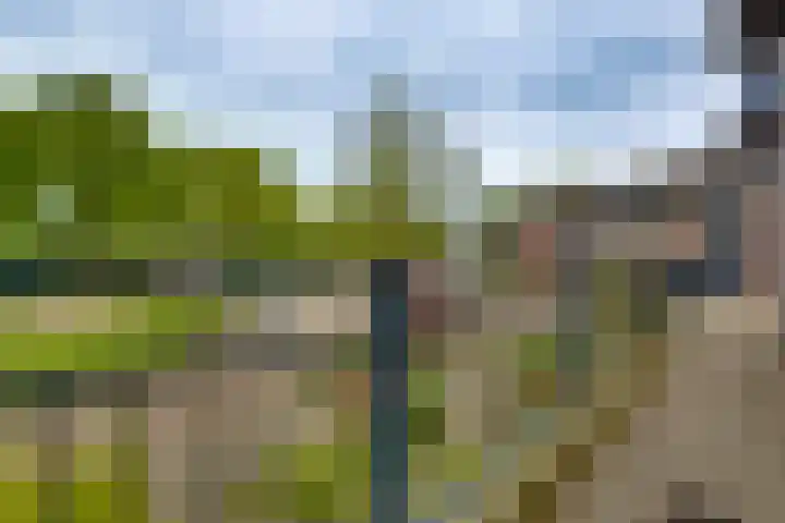 Dinant Dijkhuisstraat 32 Hengelo thumbnail 9