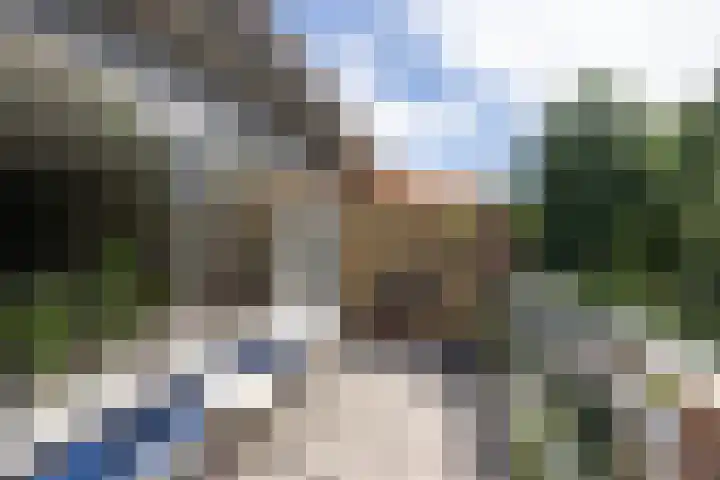 Dinant Dijkhuisstraat 40 Hengelo thumbnail 22