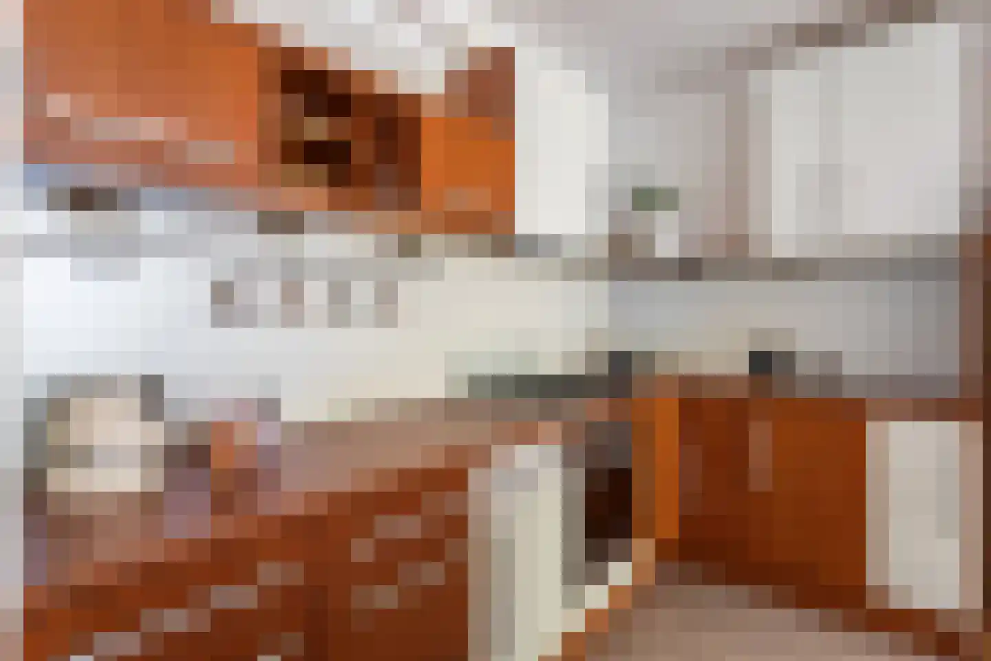 Dinant Dijkhuisstraat 58 Hengelo thumbnail 13