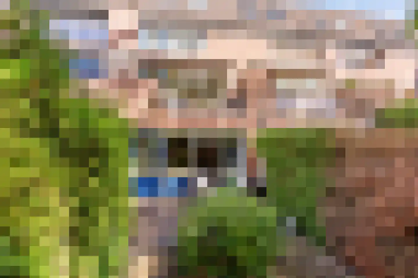 Dinant Dijkhuisstraat 58 Hengelo thumbnail 18