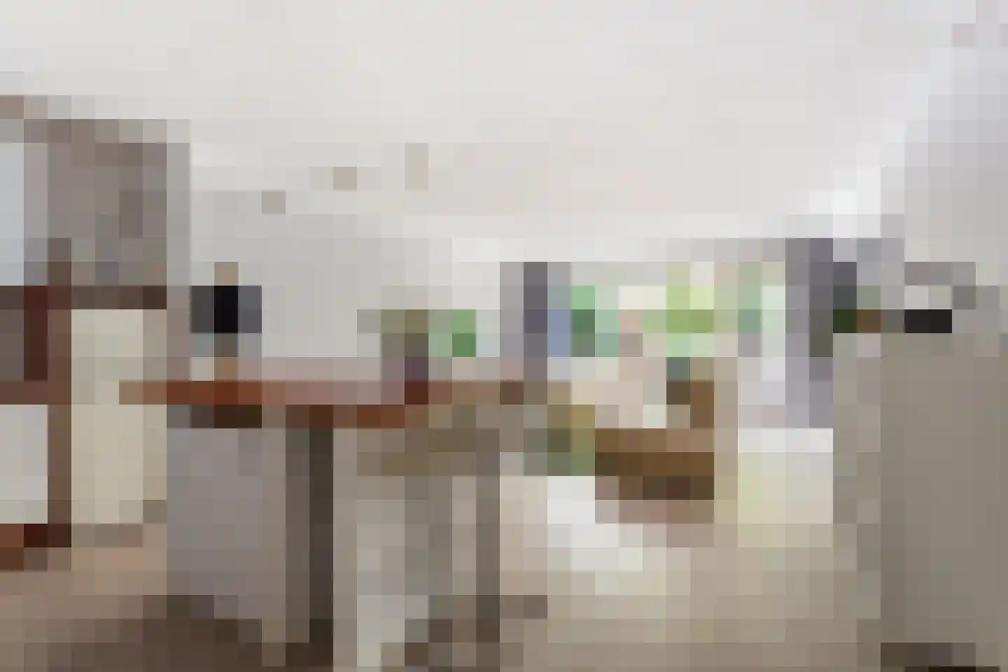 Dinant Dijkhuisstraat 58 Hengelo thumbnail 8
