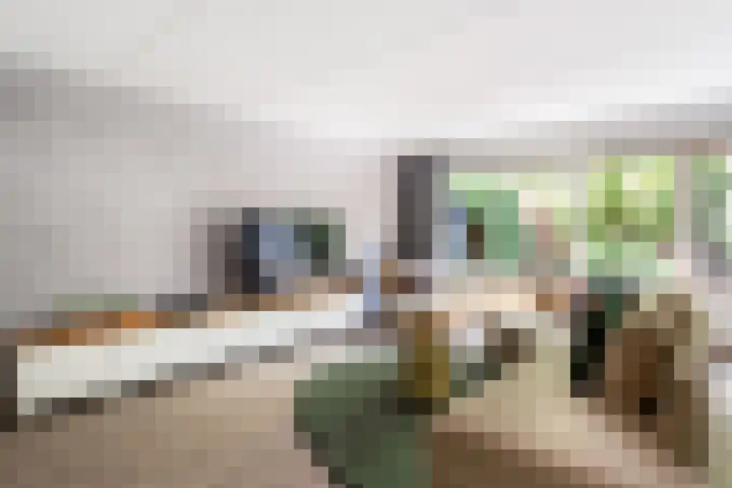 Dinant Dijkhuisstraat 58 Hengelo thumbnail 9