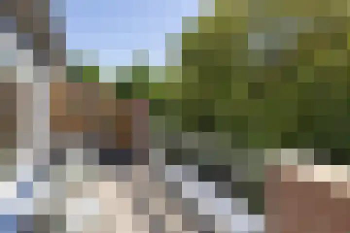 Dinant Dijkhuisstraat 92 Hengelo thumbnail 25