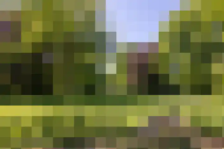 Dinant Dijkhuisstraat 92 Hengelo thumbnail 31