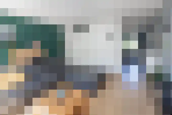 Dinant Dijkhuisstraat 92 Hengelo thumbnail 7