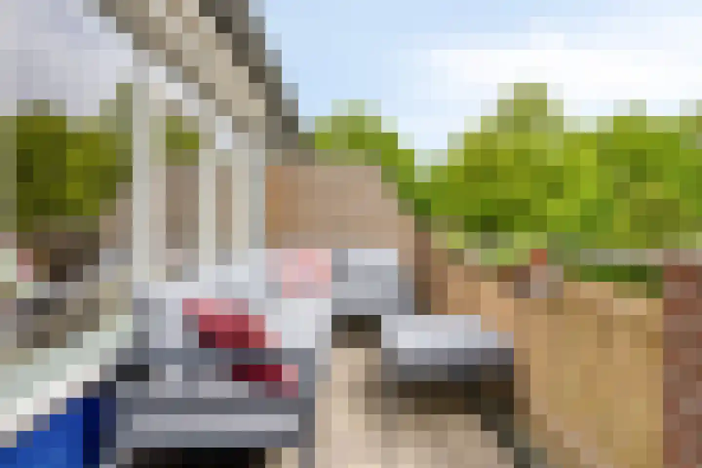 Dinant Dijkhuisstraat 96 Hengelo thumbnail 29
