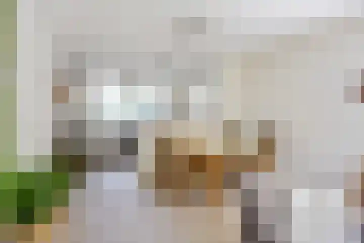 Ding 2 Norg thumbnail 17