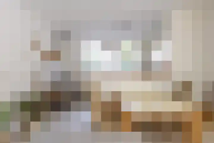 Ding 2 Norg thumbnail 18