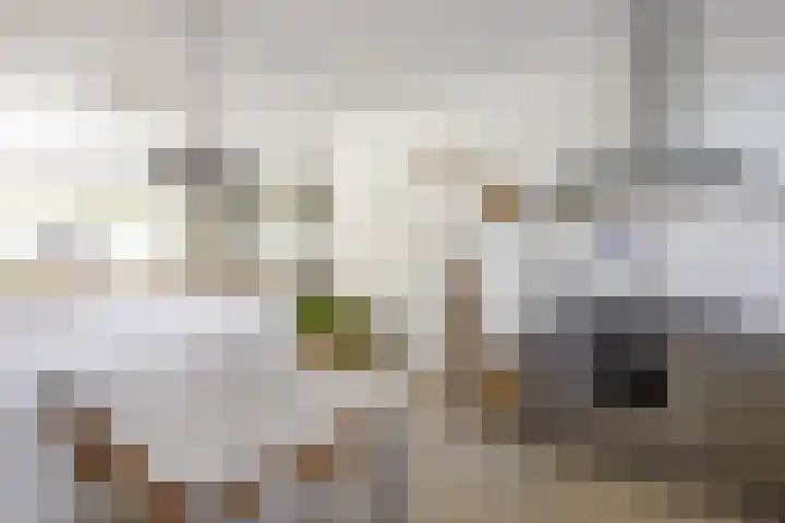 Ding 2 Norg thumbnail 20