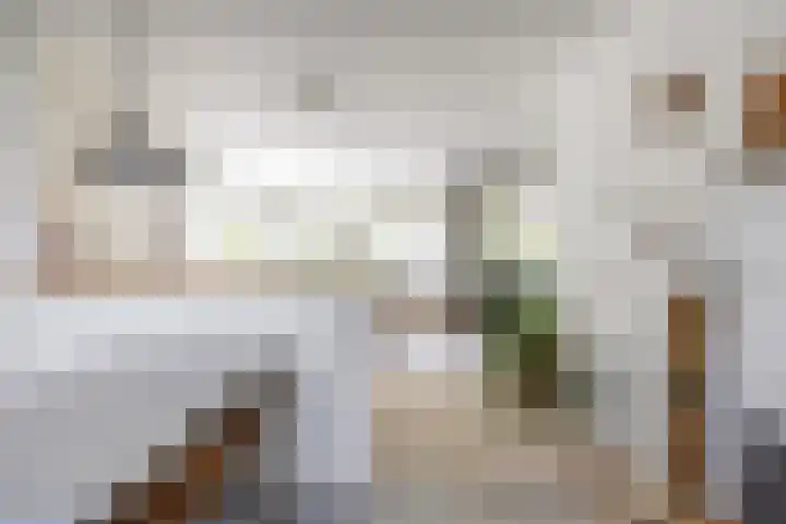 Ding 2 Norg thumbnail 21