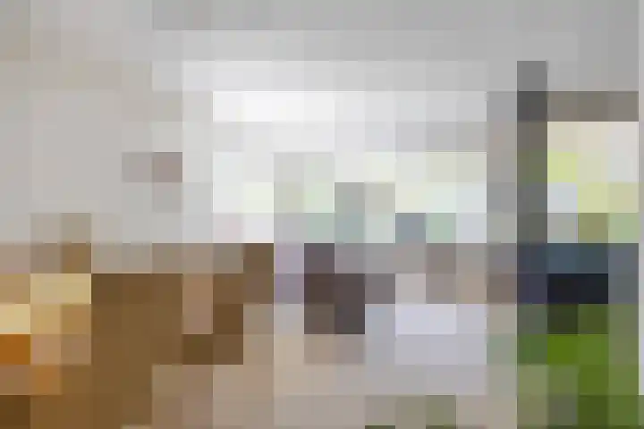 Ding 2 Norg thumbnail 22