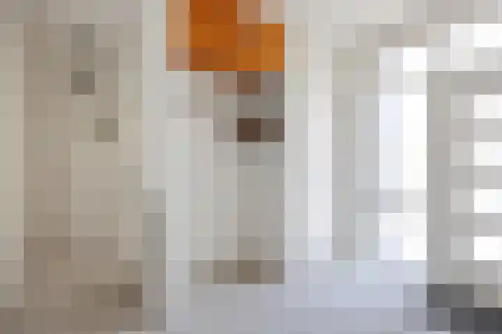 Ding 2 Norg thumbnail 25