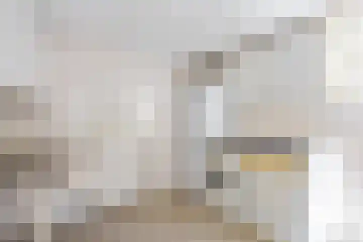 Ding 2 Norg thumbnail 32