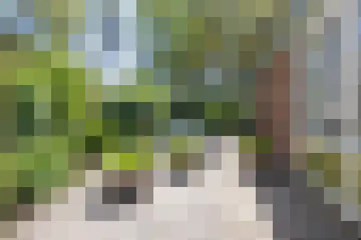 Ding 2 Norg thumbnail 36