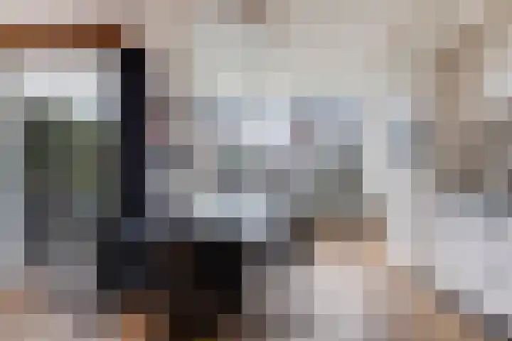 Ding 2 Norg thumbnail 37