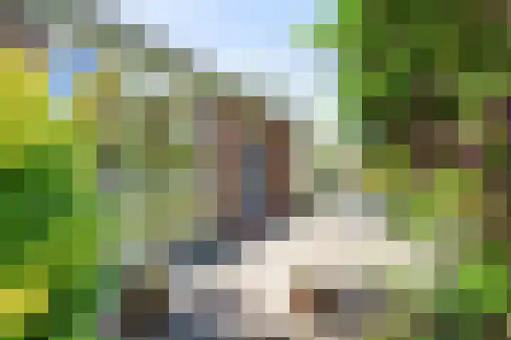 Ding 2 Norg thumbnail 38