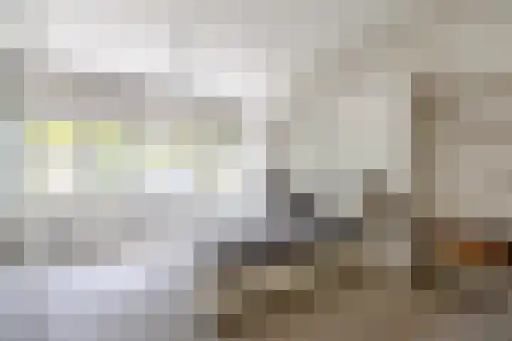 Ding 2 Norg thumbnail 4