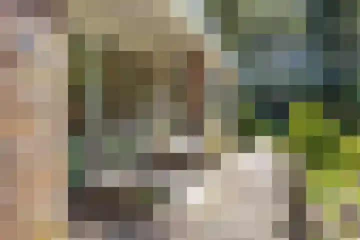 Ding 2 Norg thumbnail 41