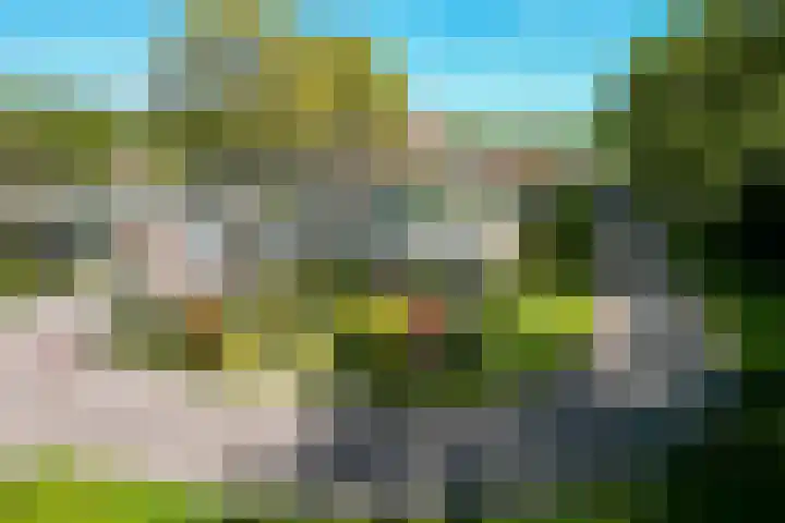 Ding 2 Norg thumbnail 43