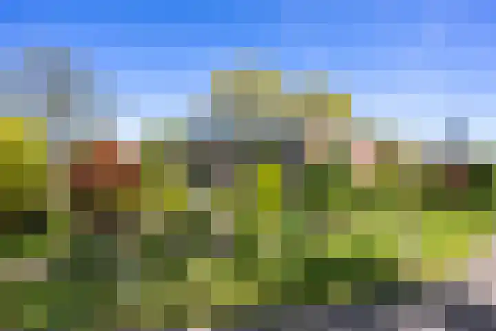 Ding 2 Norg thumbnail 50