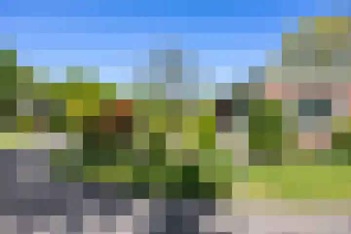 Ding 2 Norg thumbnail 6