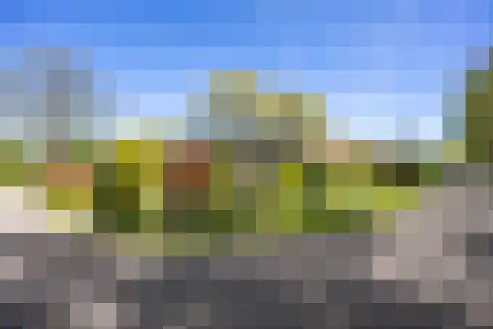 Ding 2 Norg thumbnail 7