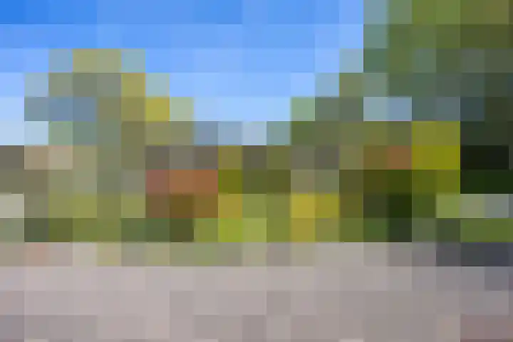 Ding 2 Norg thumbnail 8