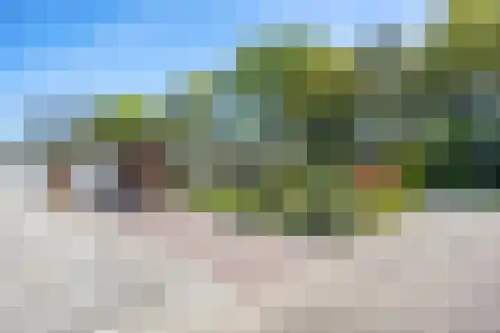 Ding 2 Norg thumbnail 9