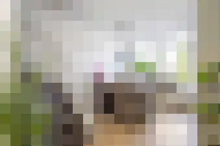 Dingenpad 6 Baflo thumbnail 13