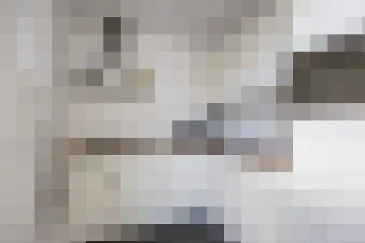 Dingenpad 6 Baflo thumbnail 16