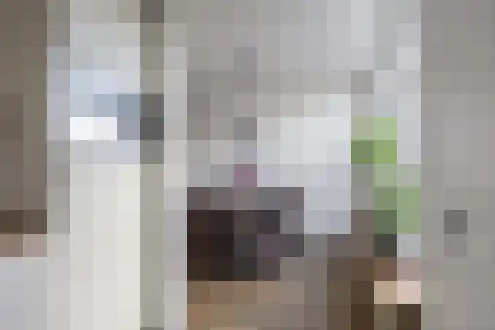 Dingenpad 6 Baflo thumbnail 21