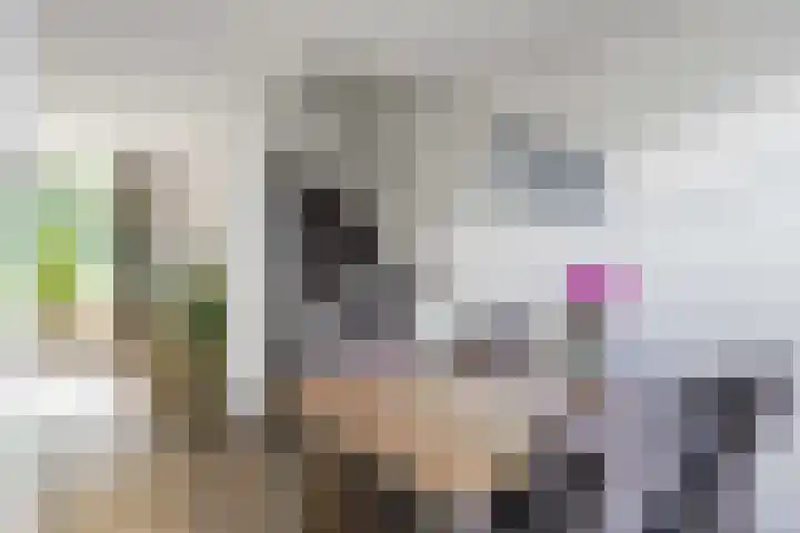 Dingenpad 6 Baflo thumbnail 22