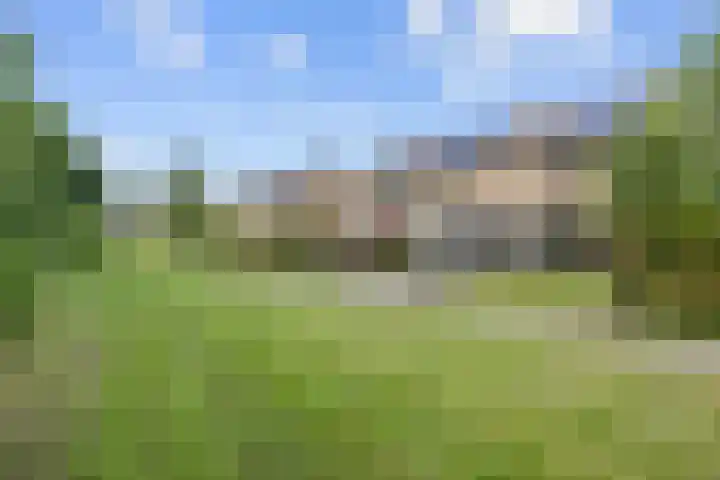 Dingenpad 6 Baflo foto 3